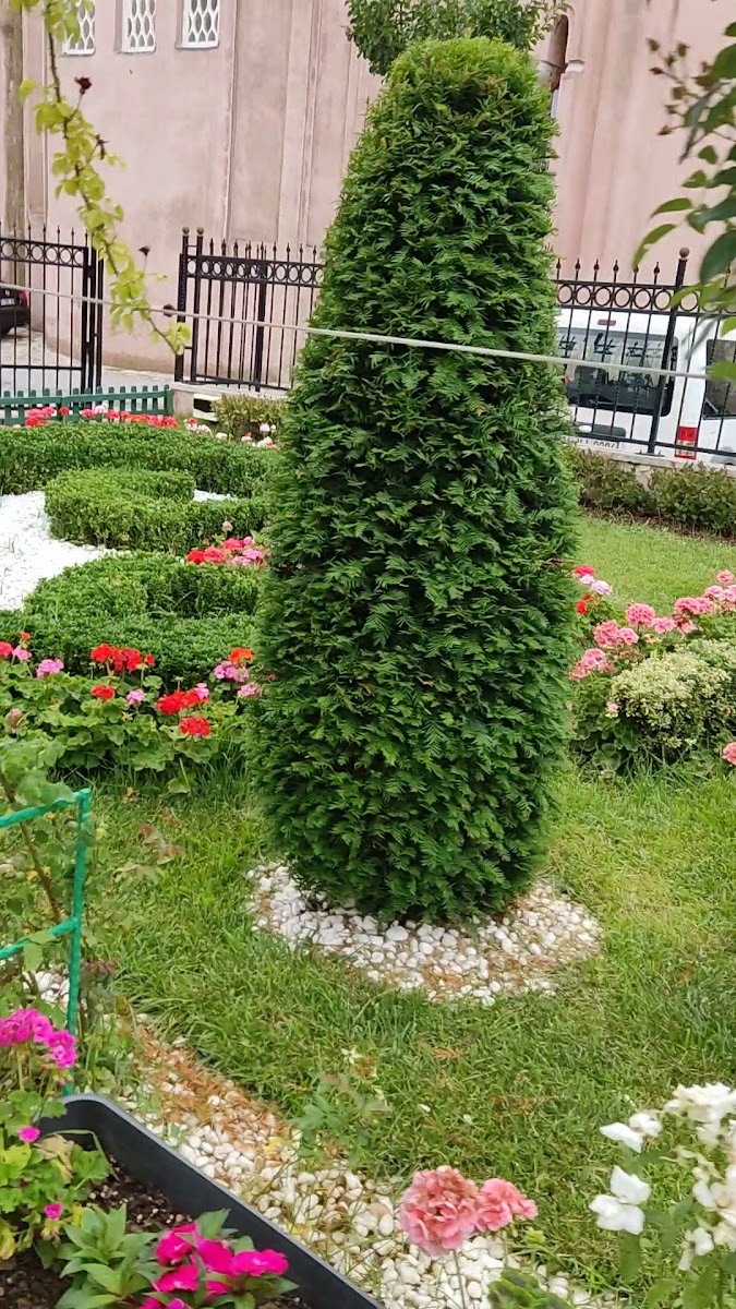 Molla Zeyrek Camii — fotoğraf 3