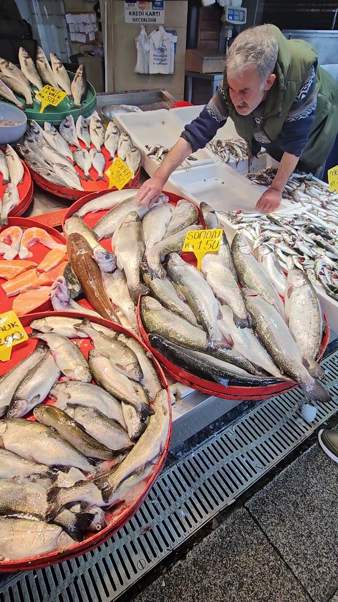Moloz balıkçı pazarı — fotoğraf 4