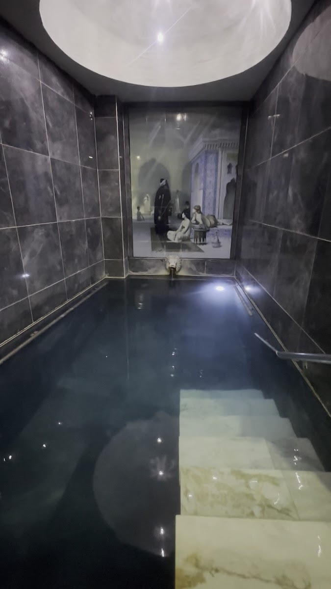 Monteri Termal Palace & SPA — fotoğraf 3