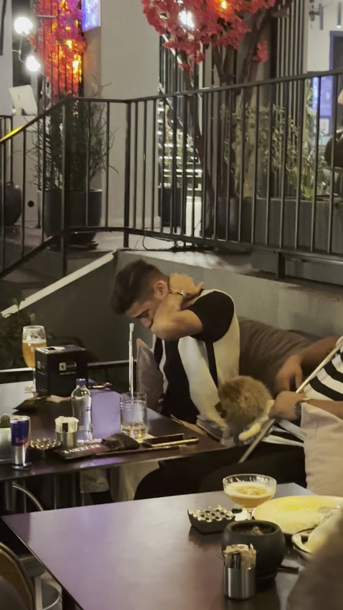 Moon Lara — fotoğraf 3