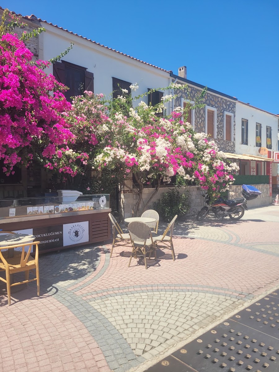 Mordoğan İskelesi — photo 2