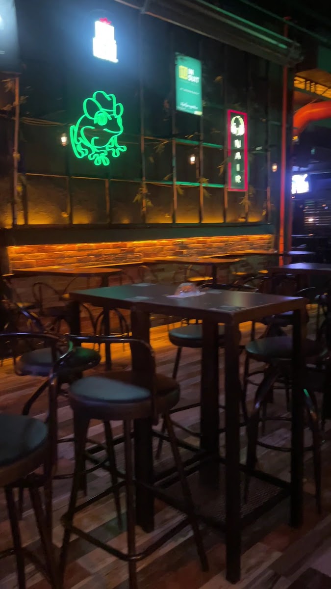 Mr. Frog Pub Bistro — fotoğraf 3