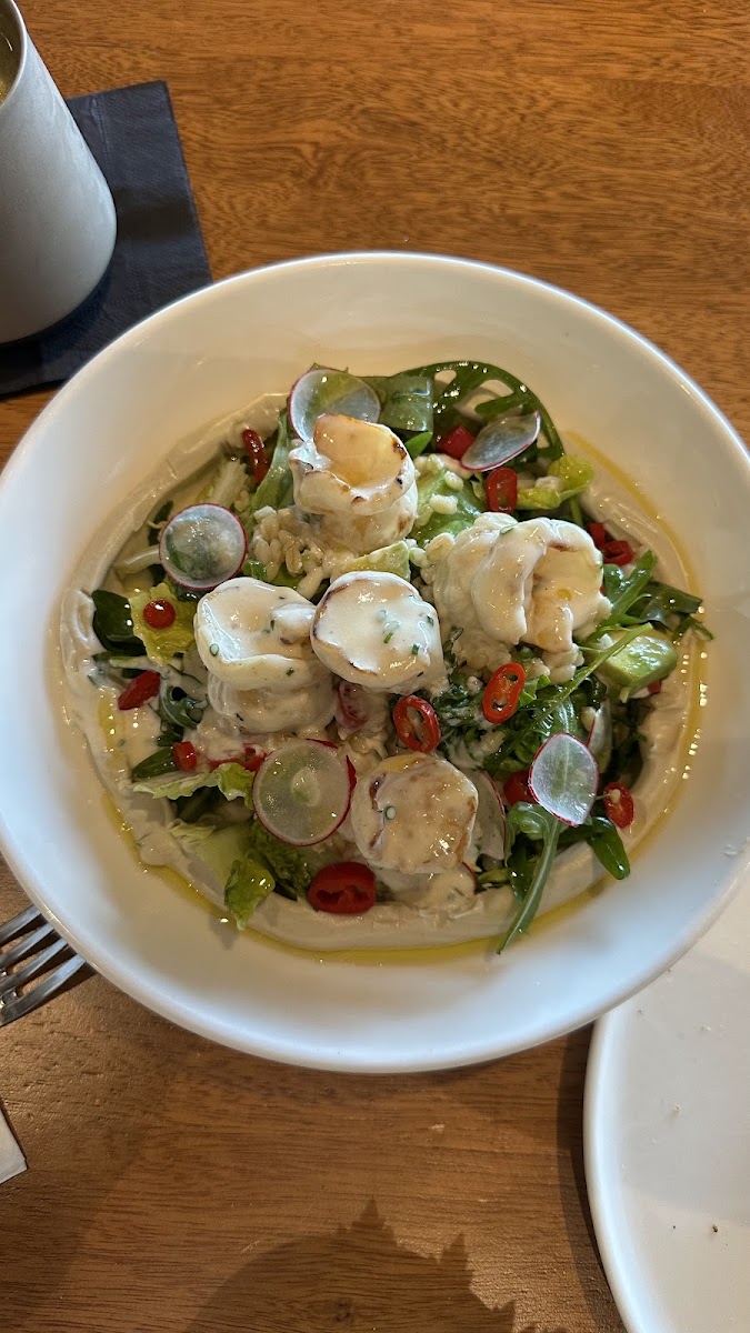 MSA’nın Restoranı — fotoğraf 2