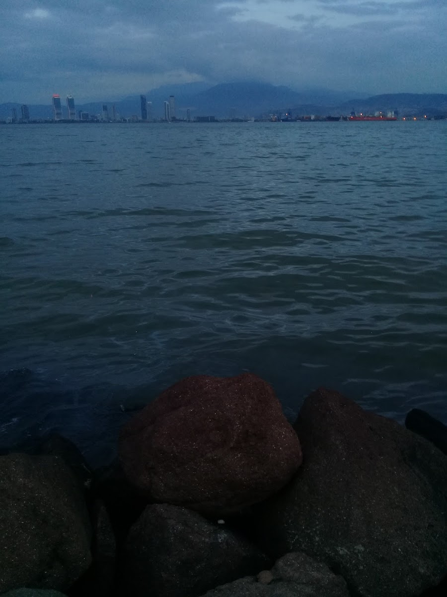 Muammer Aksoy Parkı — fotoğraf 4