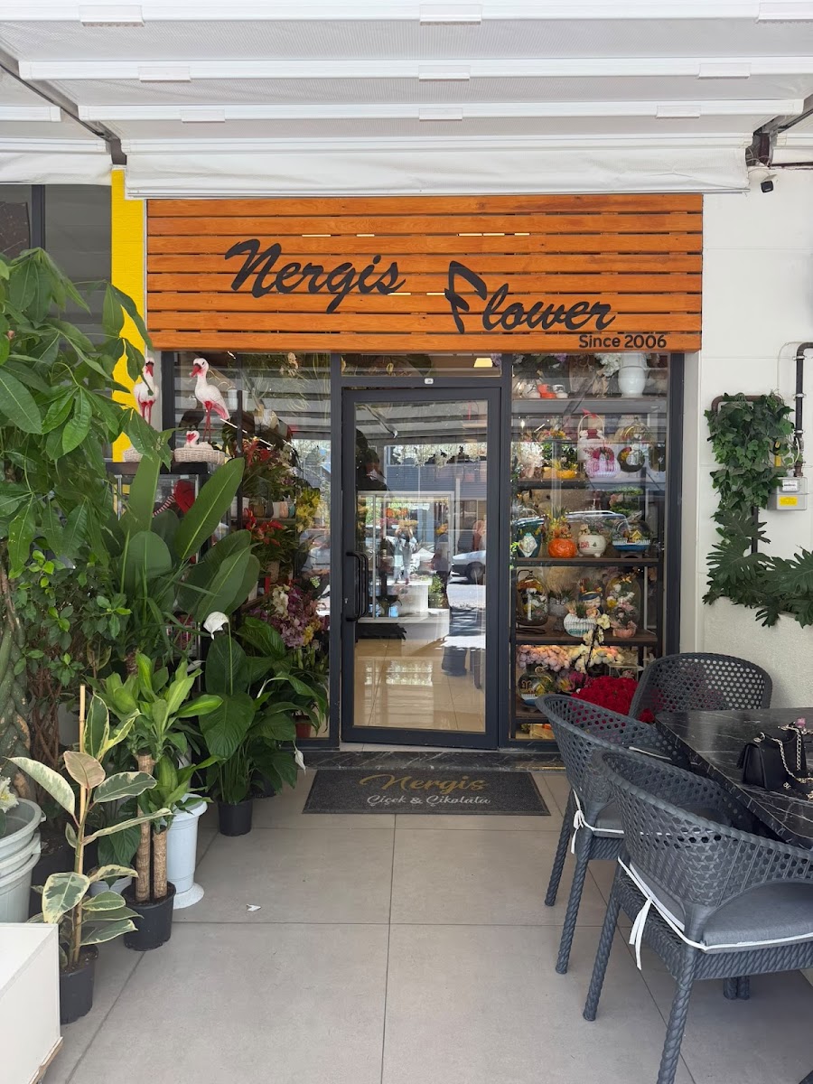 Muğla Nergis Çiçek / Çikolata — photo