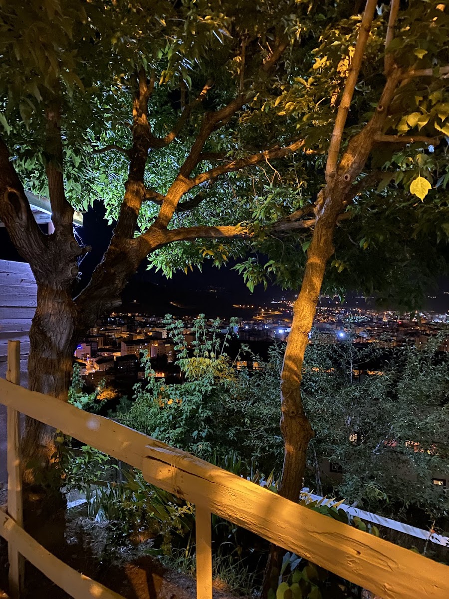 Muhtarın Bağı (Çay Bahçesi) — fotoğraf 3