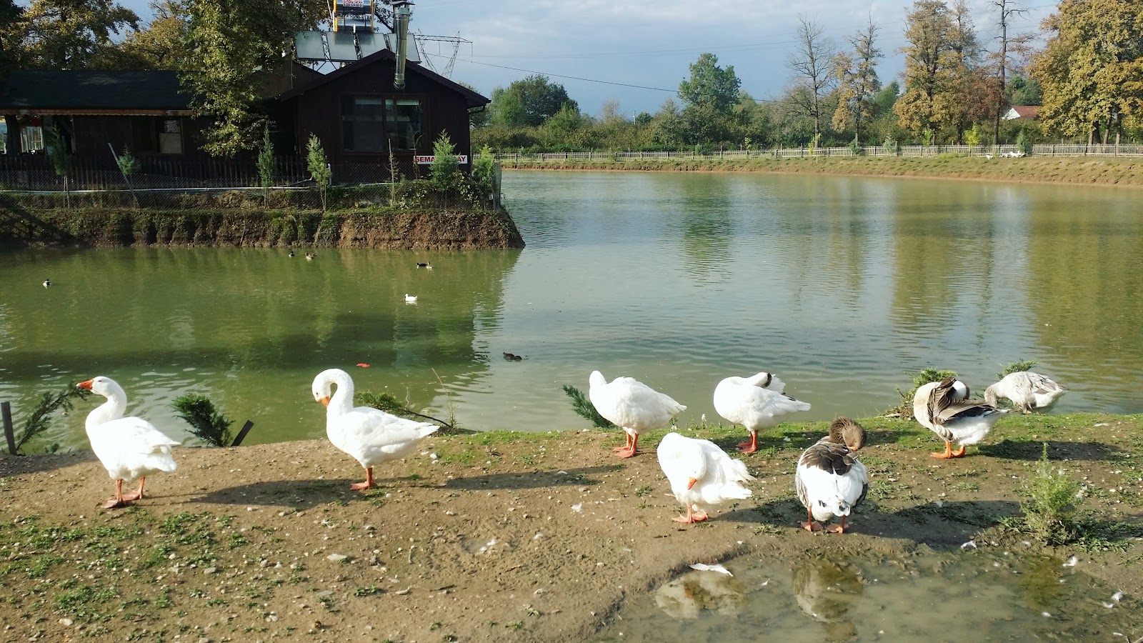 MUNCURLU GÖLET PARK — fotoğraf 1