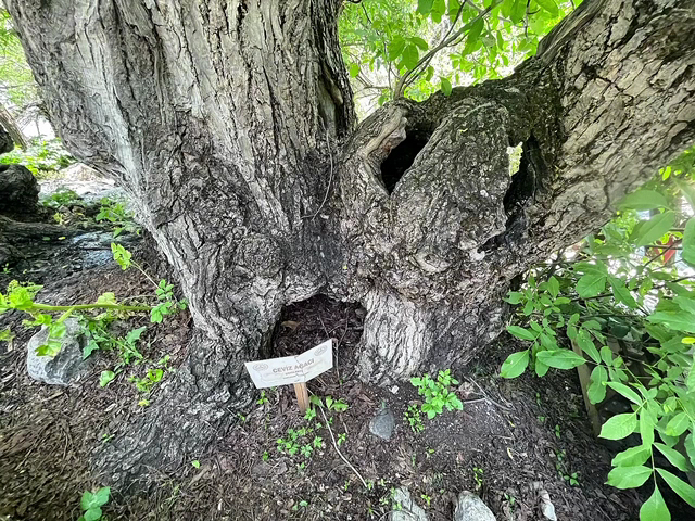 Munzur Gözeleri — fotoğraf 4
