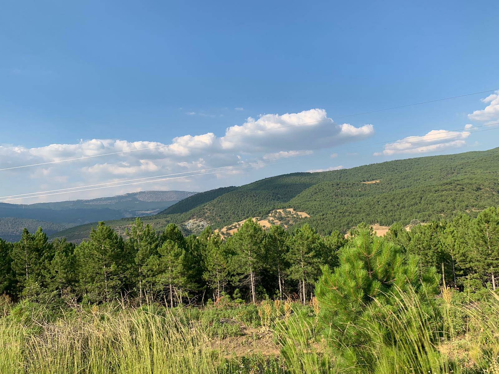 Murat Dağı Piknik Alanı — fotoğraf