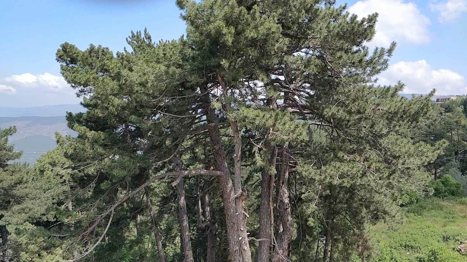 Muratdağı Kaplıca Müdürlüğü — fotoğraf 3