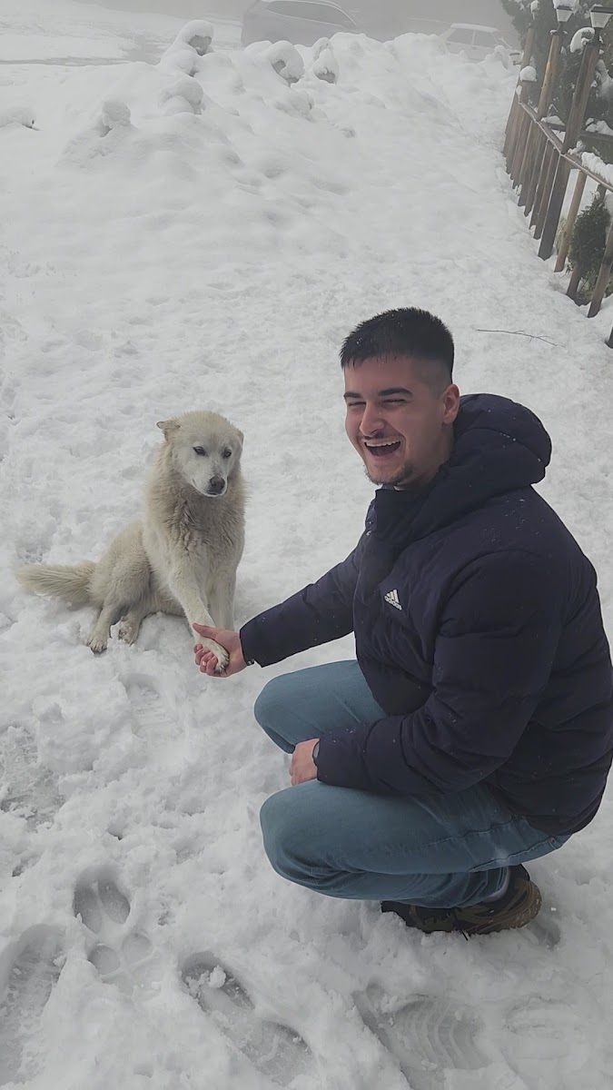 Muratin yeri boludagi karanlikdere et lokantasi — fotoğraf 2