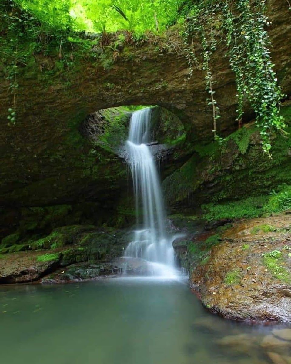 Murgul Deliklikaya Şelalesi — fotoğraf 1