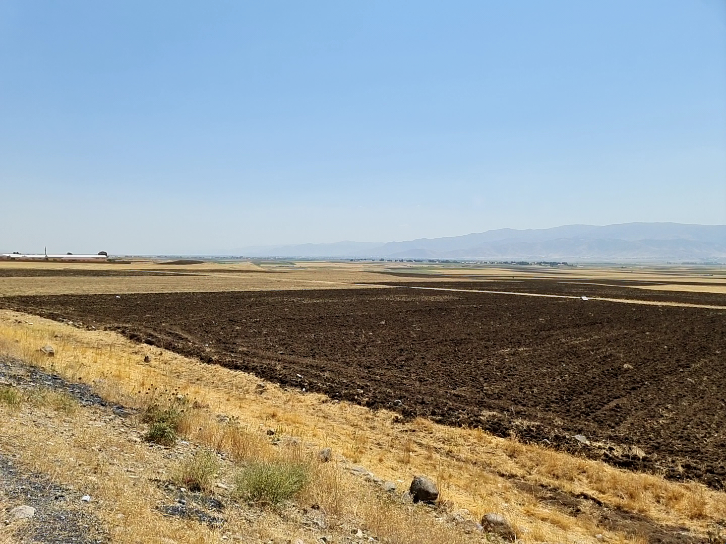 Muş Ovası — photo