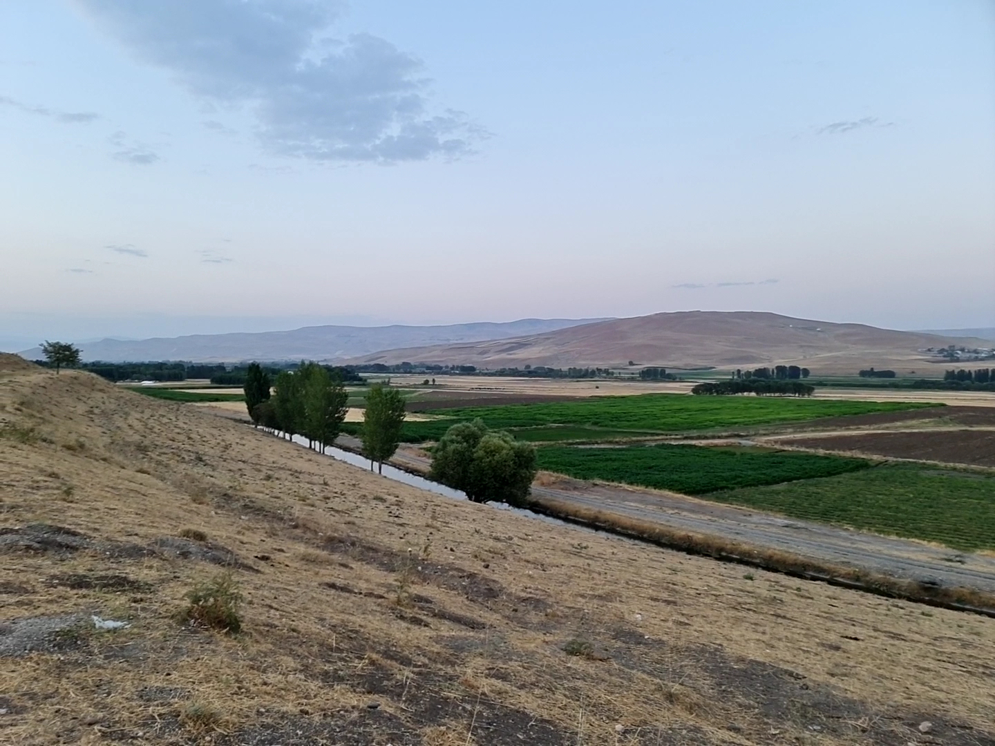 Muş Ovası — photo 2