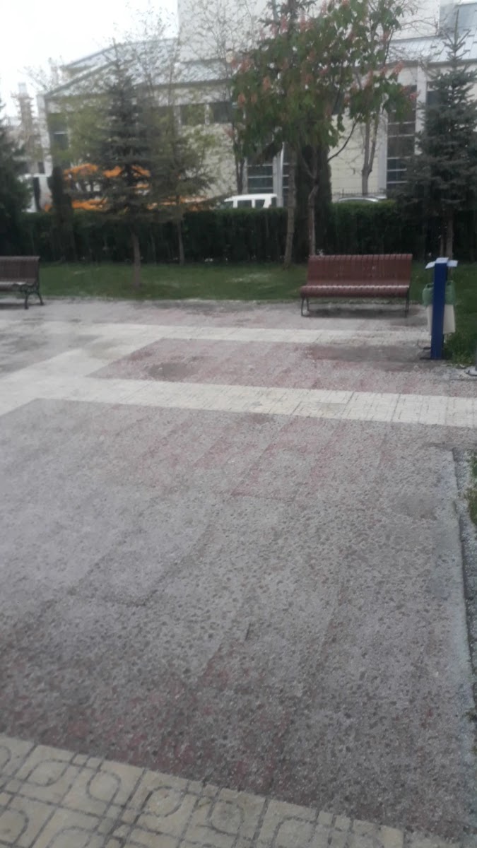 Musa Anter Barış Parkı — fotoğraf 3