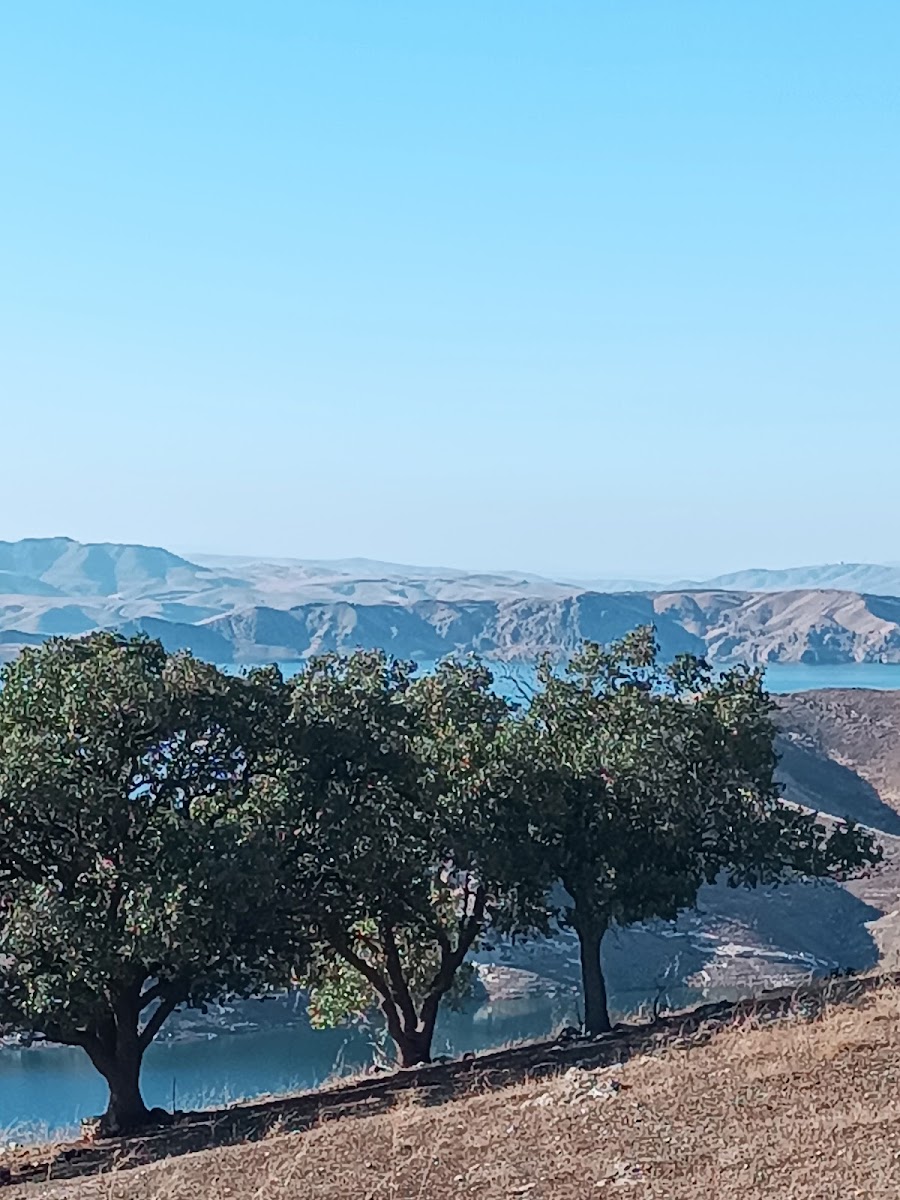 Musa Anter Parkı — fotoğraf