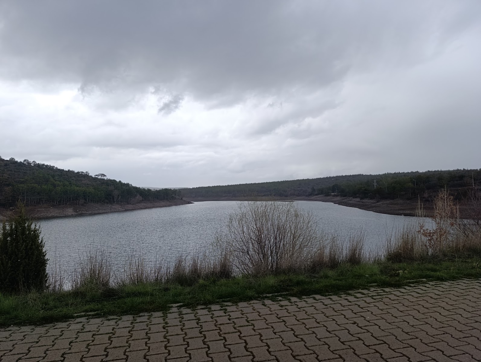 Musaözü Tabiat parkı — fotoğraf 2
