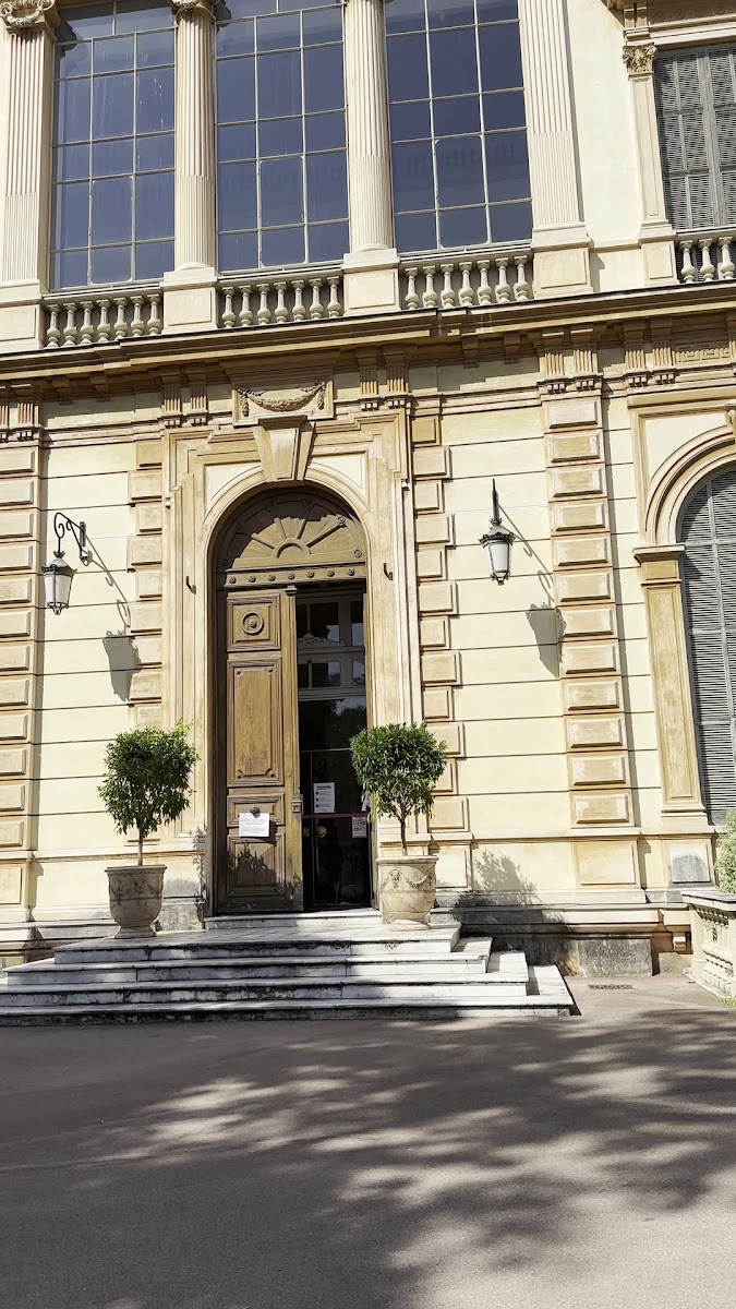 Musée des Beaux-Arts de Nice — photo 3