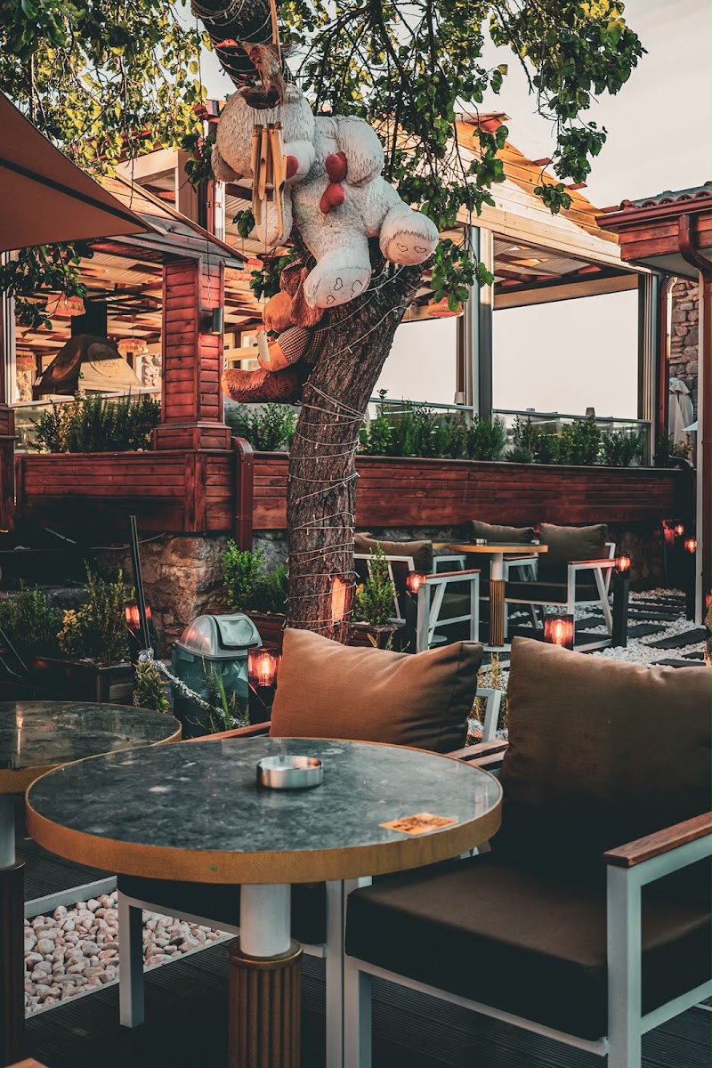 Museum Cafe Bistro — photo