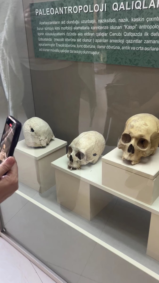 Museum of Archaeology and Anthropology — photo 4