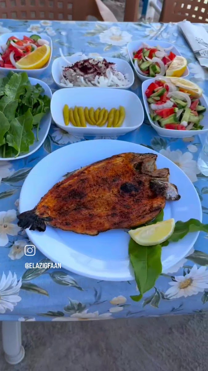 Mutlular Sahil Balıkevi — fotoğraf 5