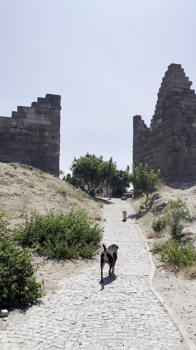 Myndos Kapısı — photo 3