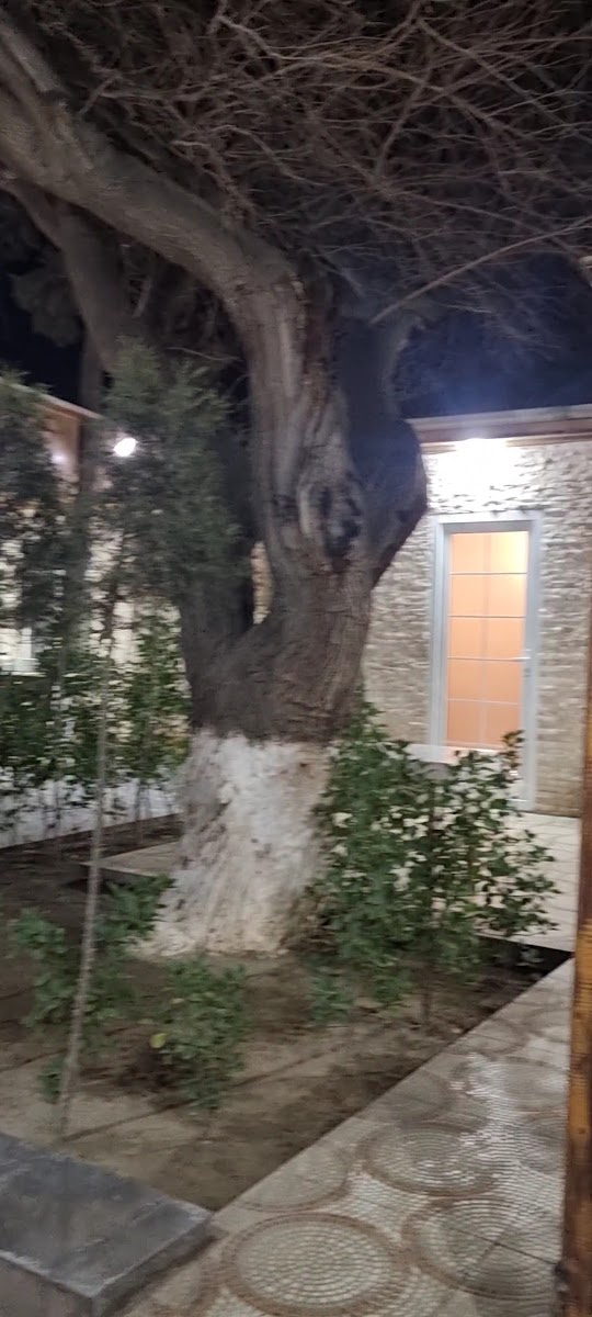 Nakhchivan Restaurant — fotoğraf 3