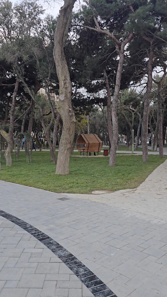 Narimanov Park — photo 3