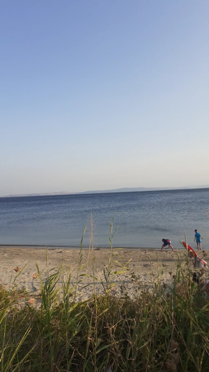 Narlı — photo 3