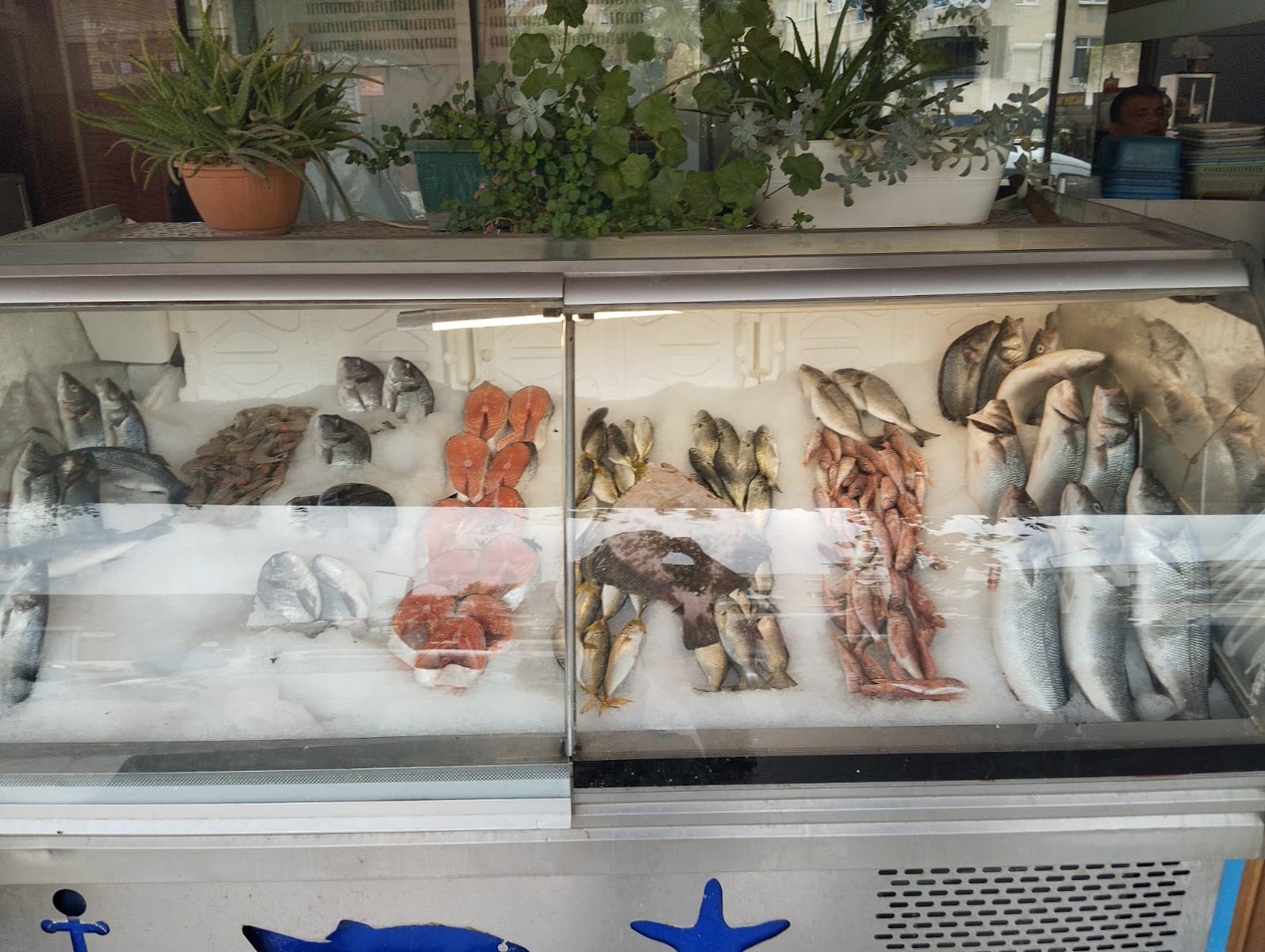 Narlidere Alabalık -USTA Balık Narlıdere Balık Pişirici — photo 2
