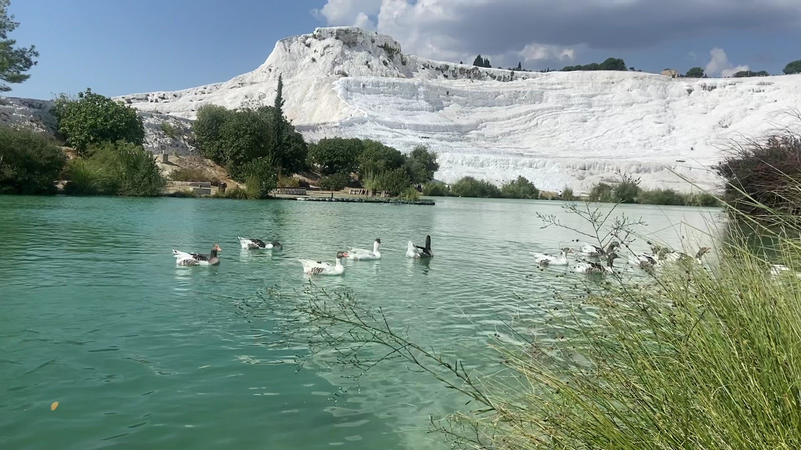 Natural Park — fotoğraf 3