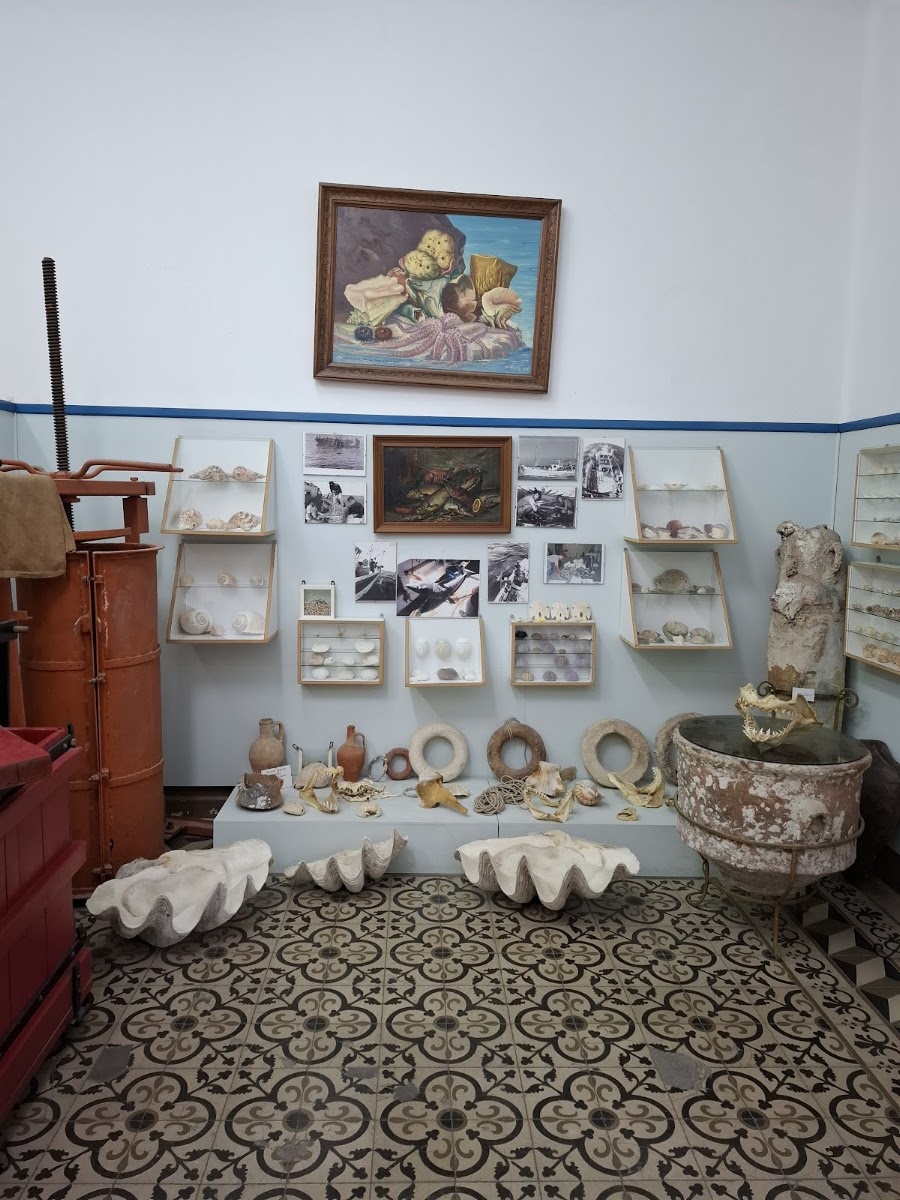 Nautical Museum of Kalymnos — photo 4