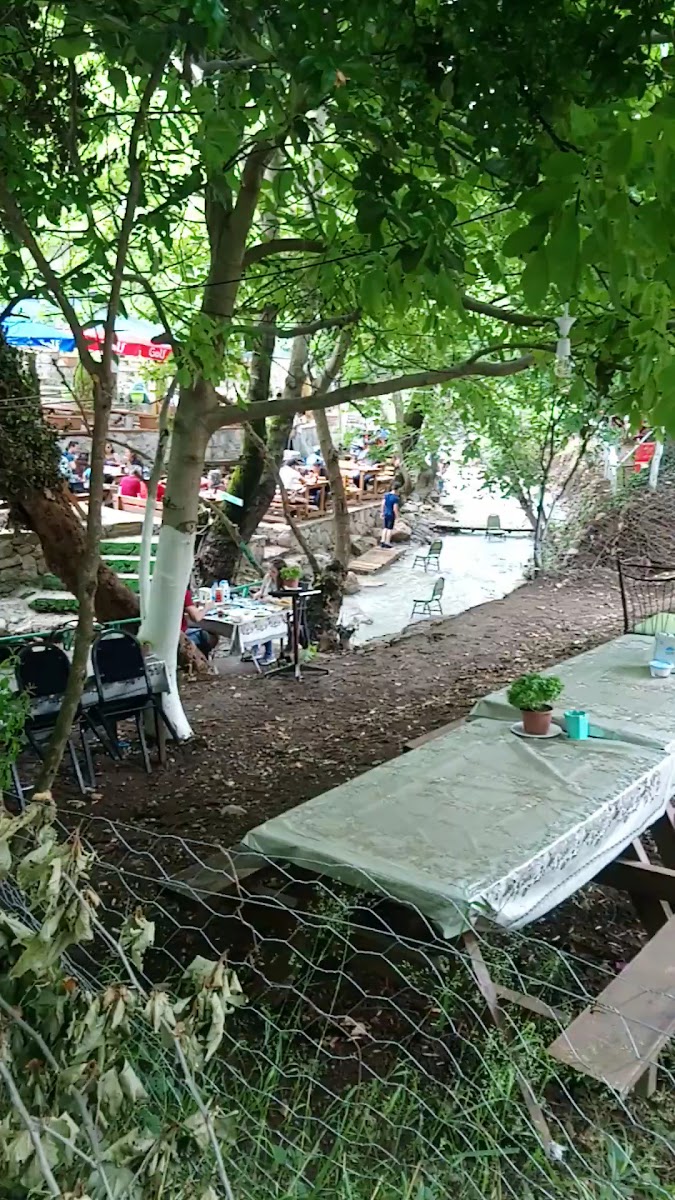 Nazarköy Vadi Restaurant — photo 3