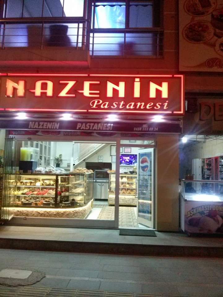 Nazenin Pastanesi — fotoğraf 1