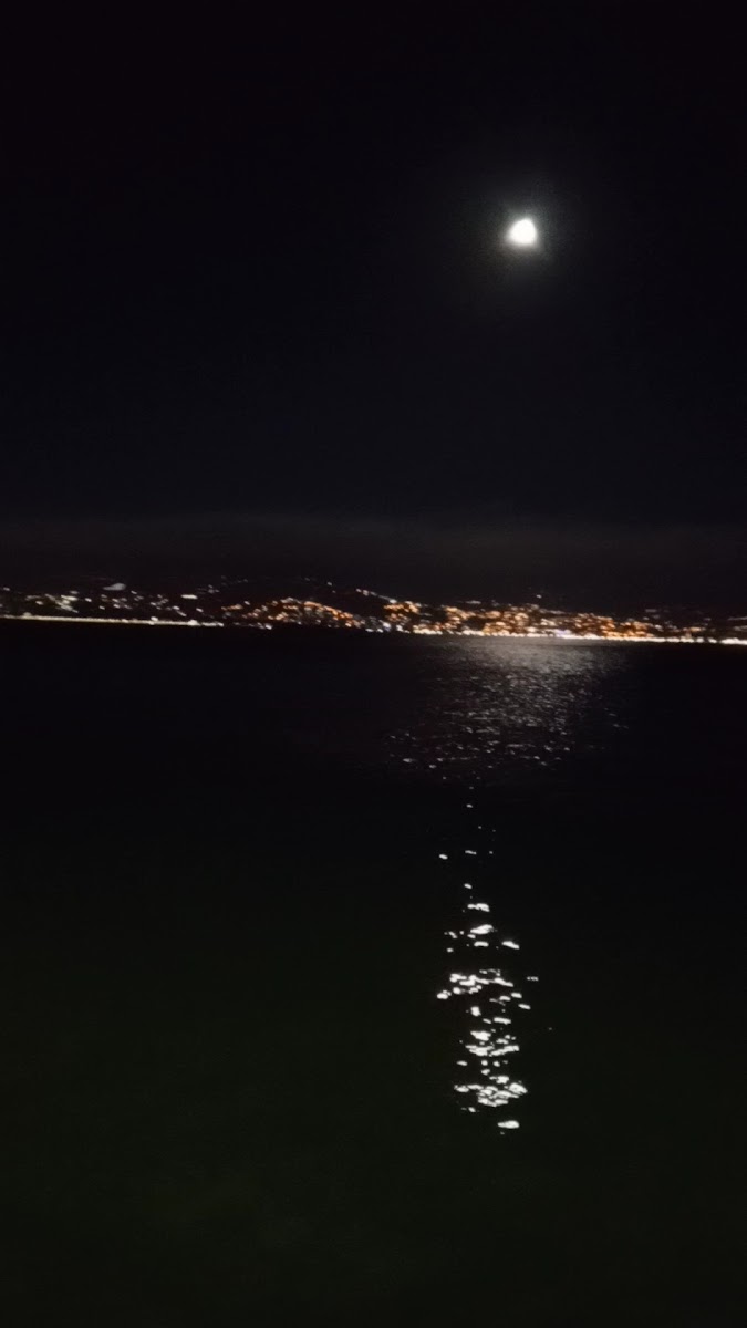 Nazmi Oğuz Parkı — fotoğraf 2