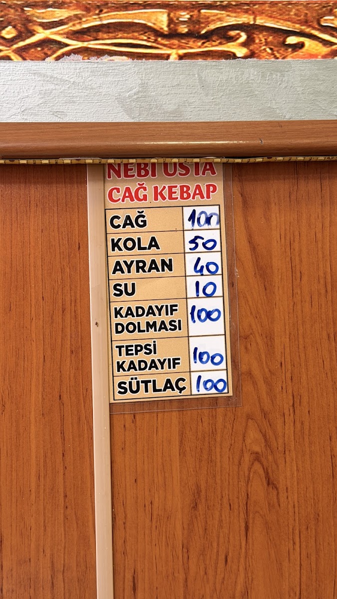 NEBİ USTA TORTUM CAĞ KEBAP — fotoğraf 4