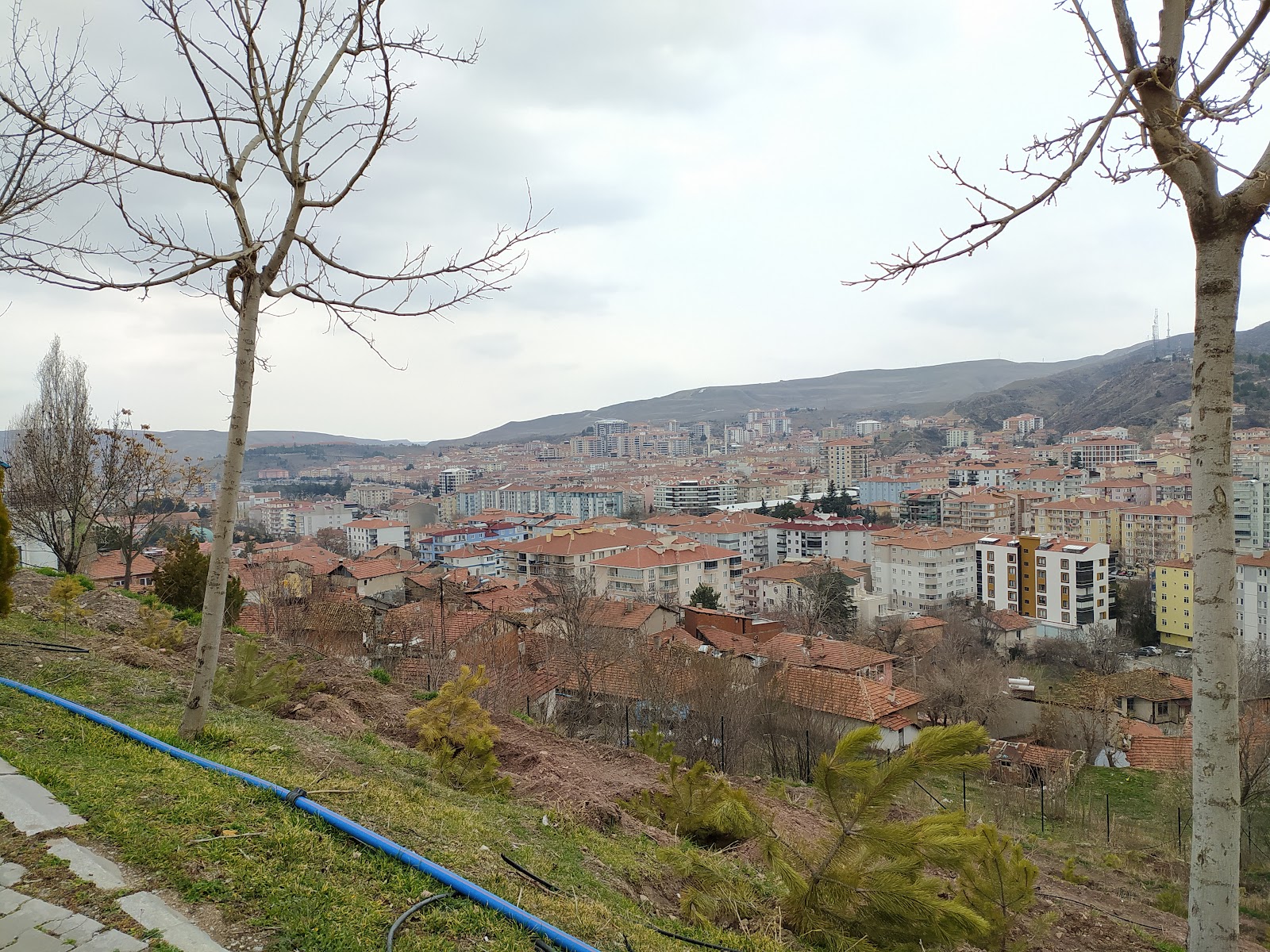 Necmettin Erbakan Parkı