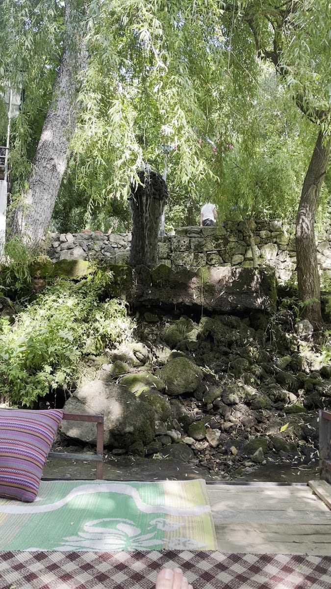 Nehri Masi Alabalik Tesisleri — fotoğraf 3