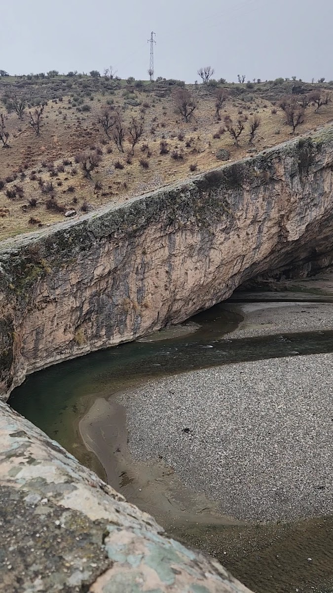 Nemrut Turları Murat Polat — fotoğraf 3