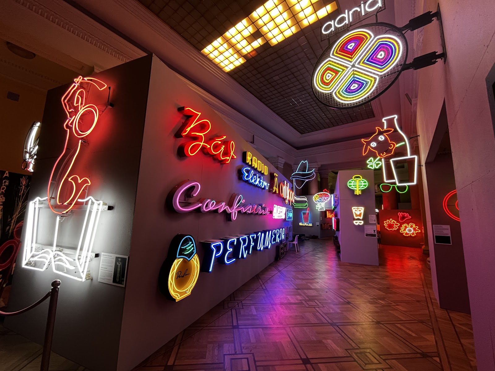Neon Museum — photo