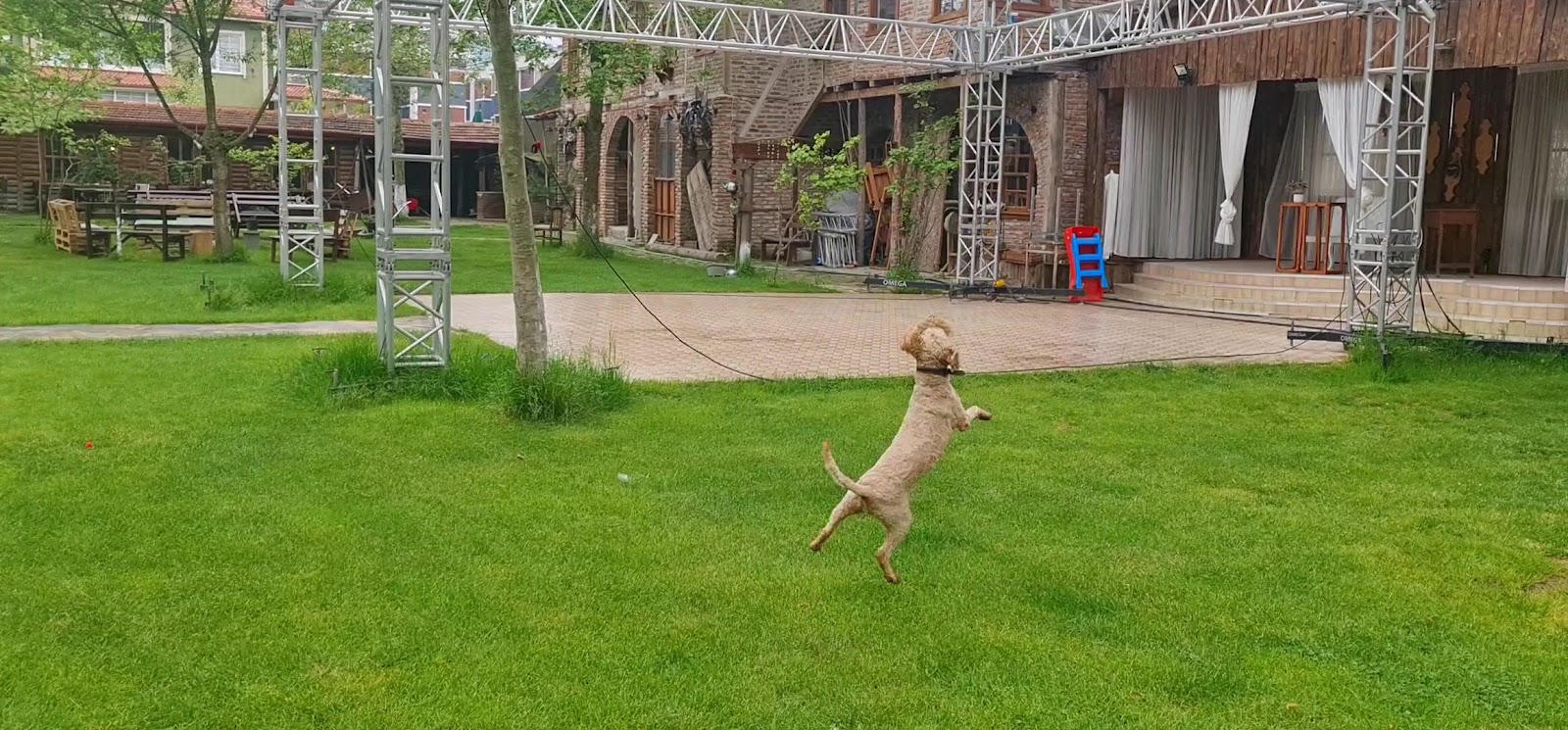 Neris Kır Bahçesi — fotoğraf 3