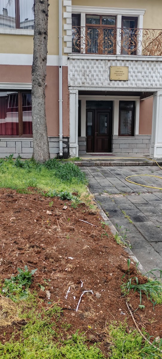 Neşet Ertaş Müzesi — fotoğraf 2
