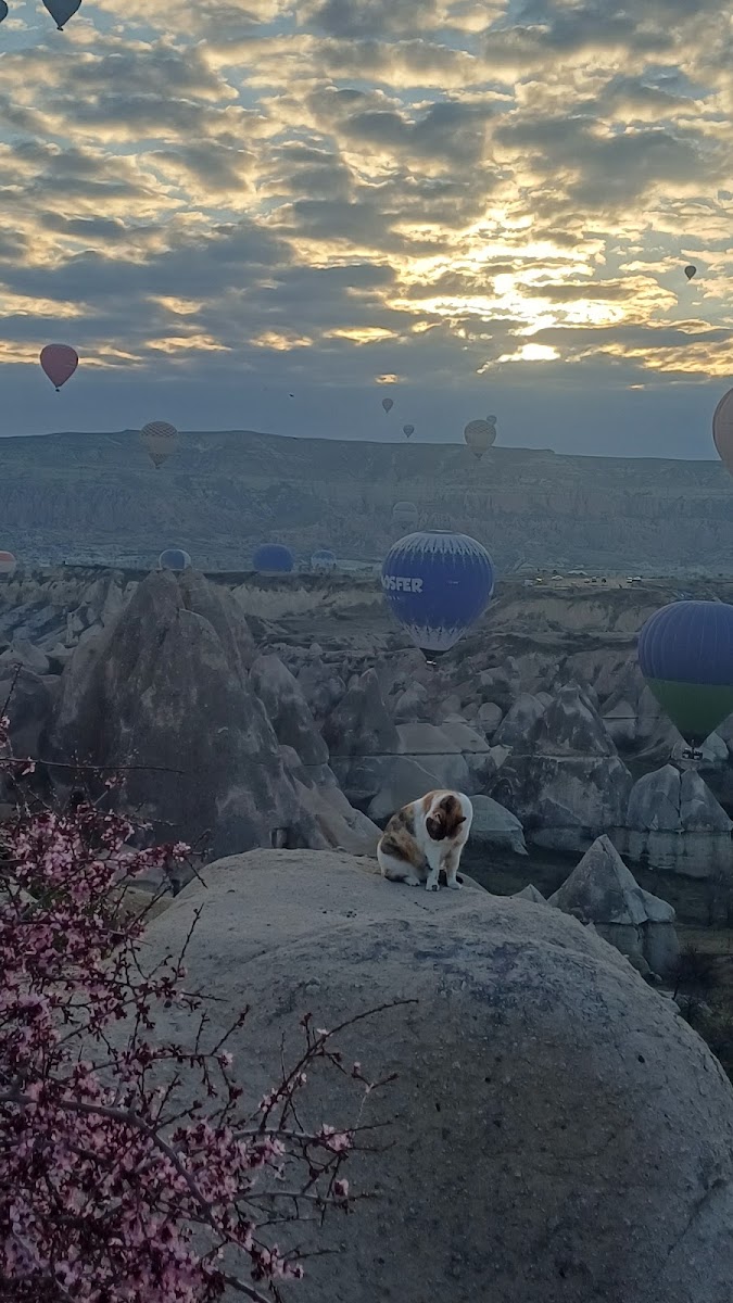 Nevşehir Öğretmenevi ve A.S.O. Müdürlüğü — fotoğraf 2
