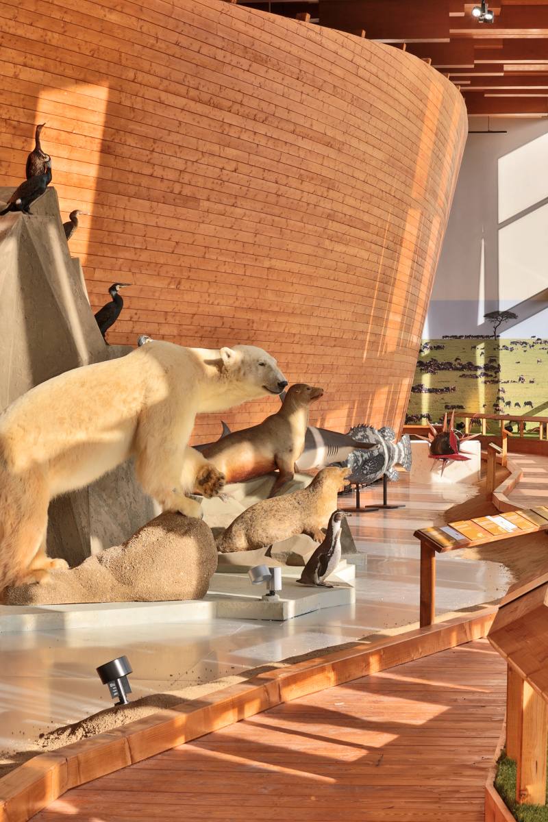 New National Museum — fotoğraf 4