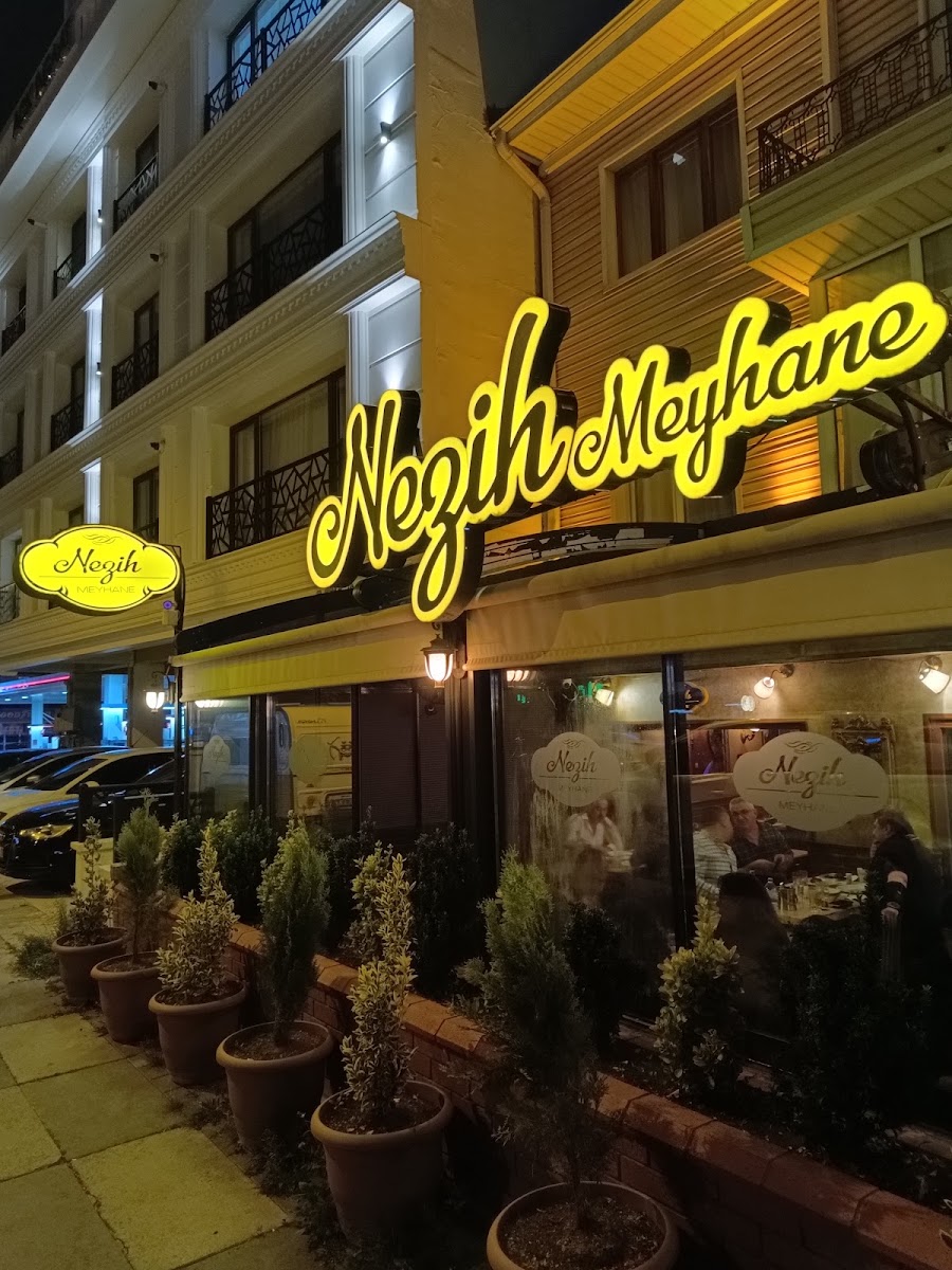 Nezih Meyhane — photo