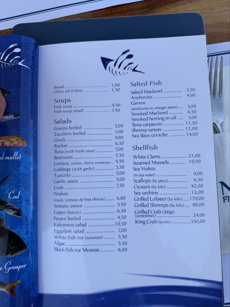 Nick the Fisherman — photo 3