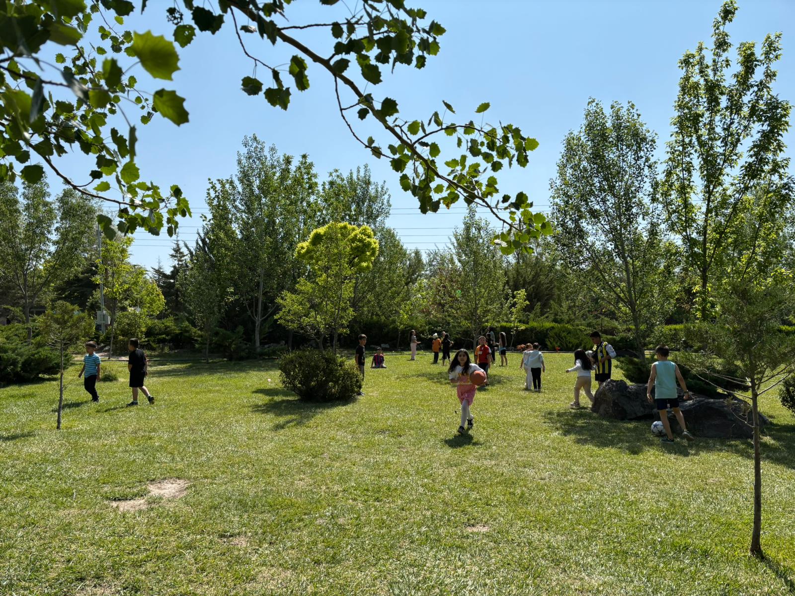 Niğde Atatürk Kent Ormanı — photo