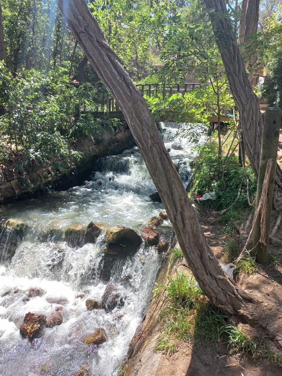 Niğde Belediyesi Gebere Mesire Alanı — fotoğraf