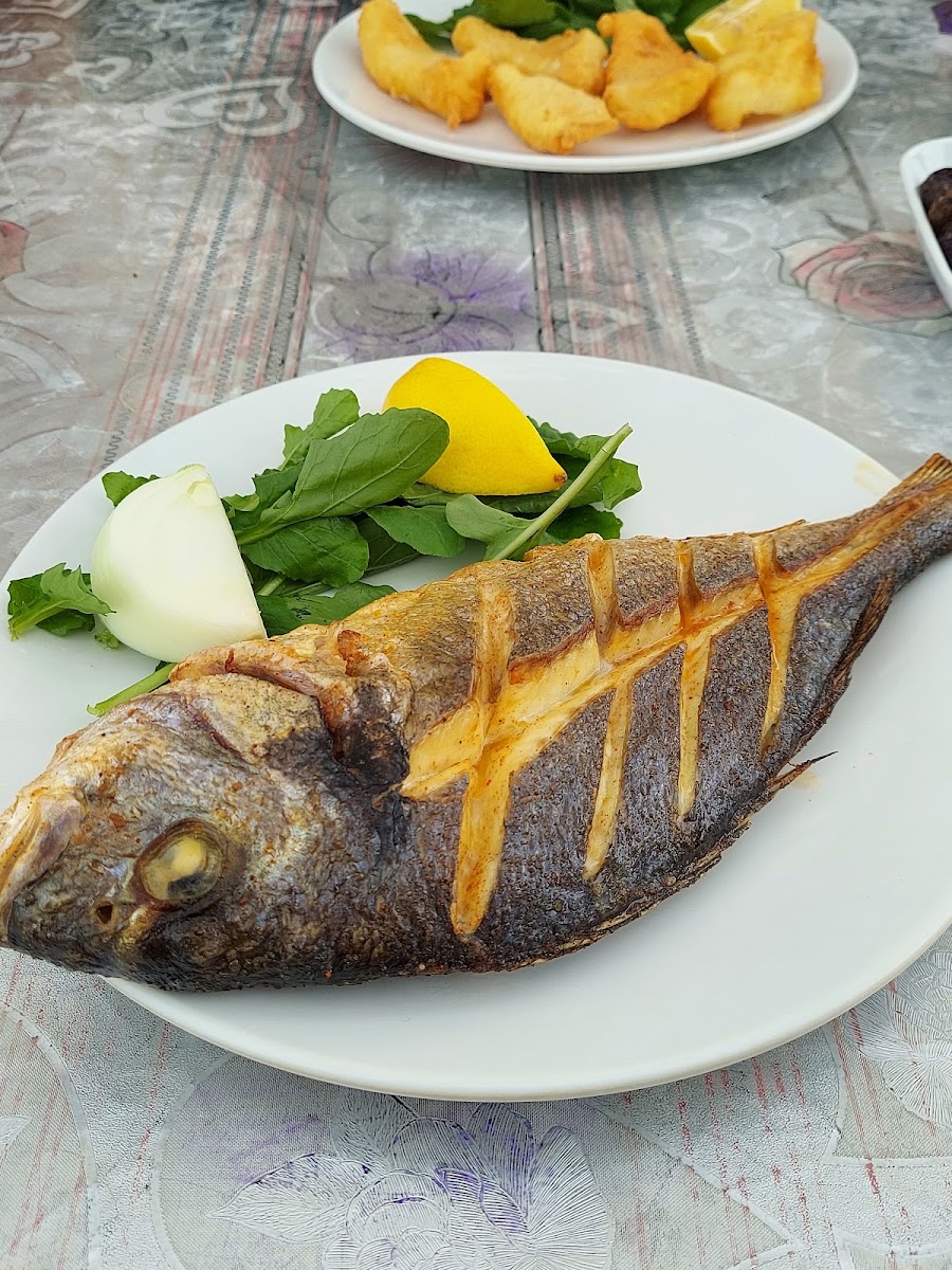 Nihat'ın Yeri Balık Restaurantı / İZNİK / Liman — photo 11