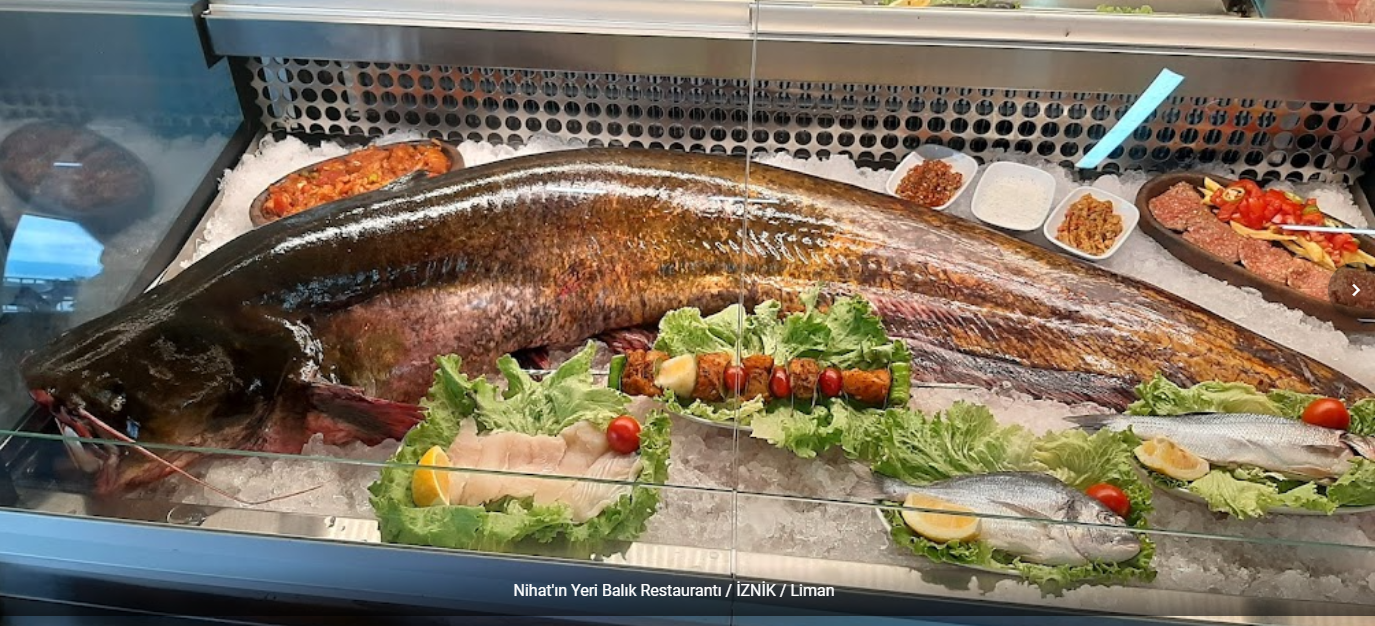 Nihat'ın Yeri Balık Restaurantı / İZNİK / Liman — photo 5